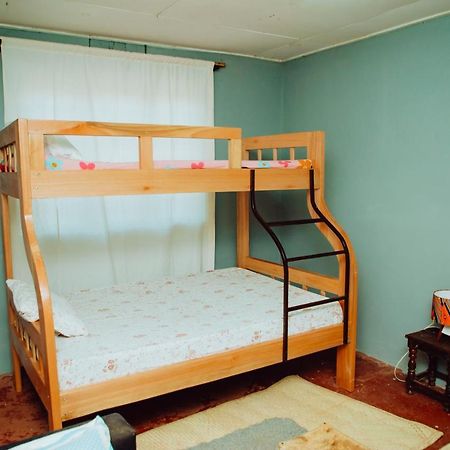 אירינגה Emmy'S Backpackers Hostel מראה חיצוני תמונה