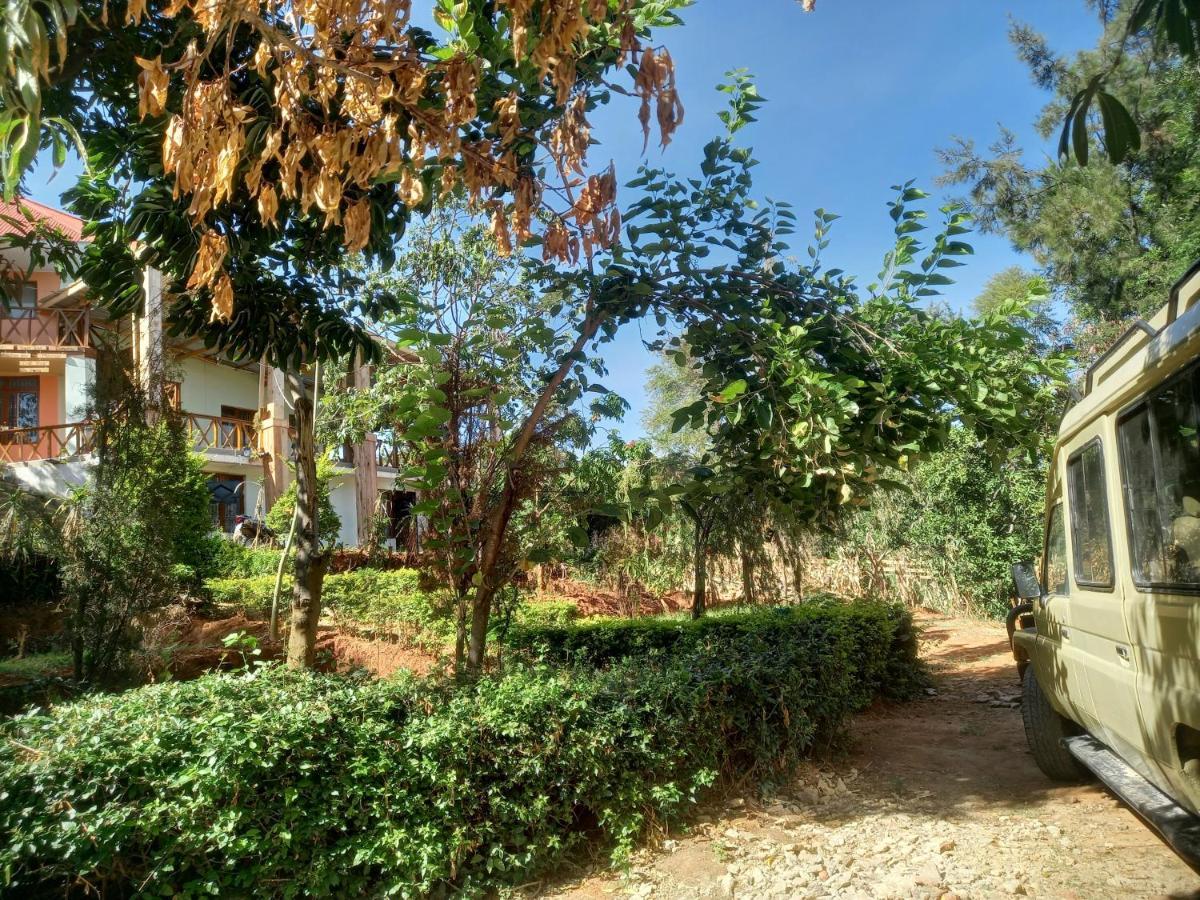 אירינגה Emmy'S Backpackers Hostel מראה חיצוני תמונה