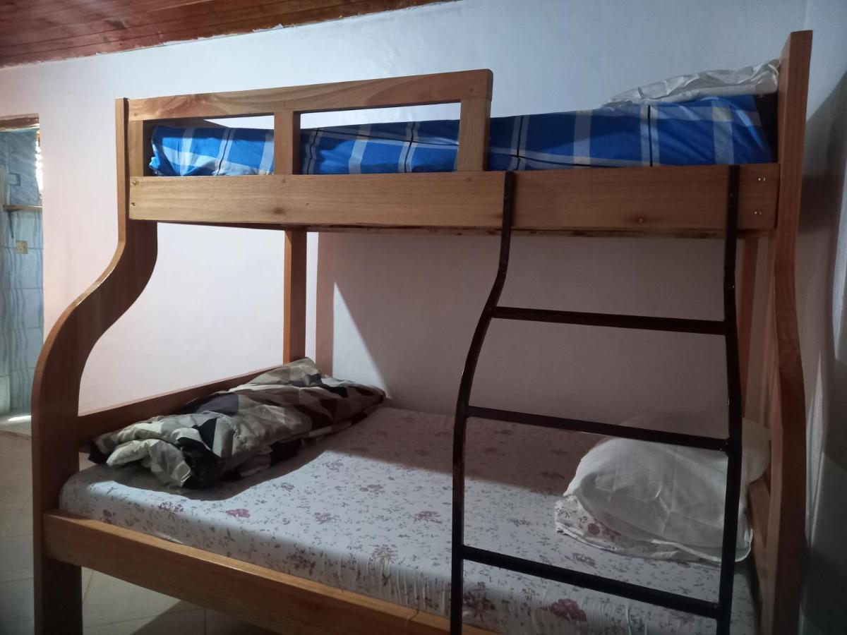 אירינגה Emmy'S Backpackers Hostel מראה חיצוני תמונה