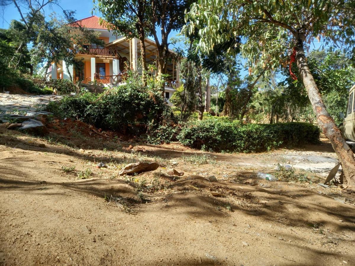אירינגה Emmy'S Backpackers Hostel מראה חיצוני תמונה